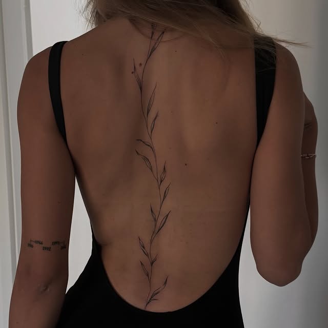 Jemný linework popínavé rostliny podél páteře